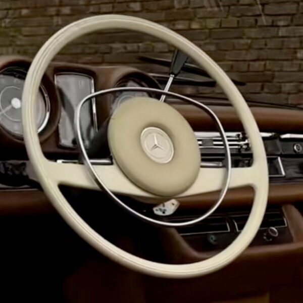 Petri Bakelite Steering Wheel